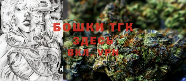 ПСИЛОЦИБИНОВЫЕ ГРИБЫ Алексеевка