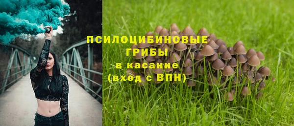 ПСИЛОЦИБИНОВЫЕ ГРИБЫ Алексеевка