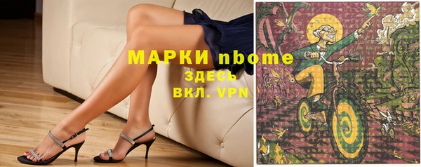 гашик Алексин