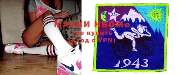 гашик Алексин