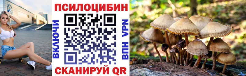 цена   Луза  Псилоцибиновые грибы Psilocybe 